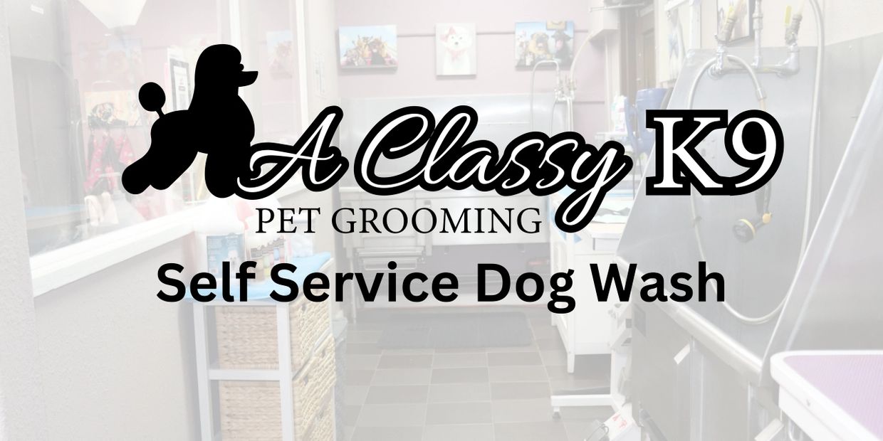 A Classy K9 Pet Grooming LLC Self Service Dog Wash Dog Wash